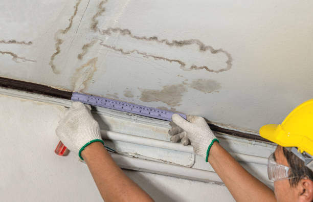 Reliable Water Damage Repair contractor in Hamill, SD by Hirex Water Damage